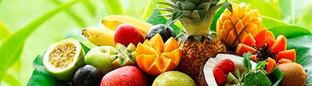 Importacion y distribucion de frutas.
