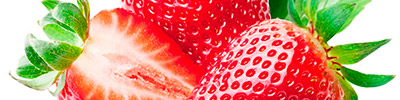 Importacion y distribucion de fresas frescas.