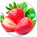 Importacion y distribucion de fresas frescas.