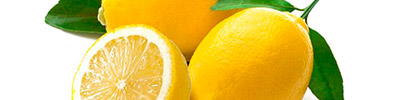 Importacion y distribucion de limones frescos.
