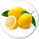 Importacion y distribucion de limones frescos.