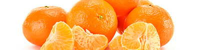 Importacion y distribucion de mandarinas frescas.
