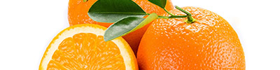 Importacion y distribucion de naranjas frescas.