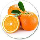 Importacion y distribucion de naranjas frescas.
