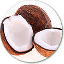 Importacion y distribucion de cocos frescos.