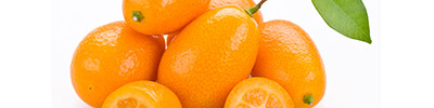 Importacion y distribucion de kumquats frescos.