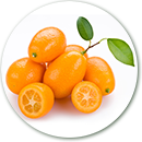 Importacion y distribucion de kumquats frescos.
