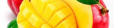 Importacion y distribucion de mangos frescos.