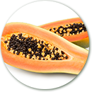 Importacion y distribucion de papayas frescas.