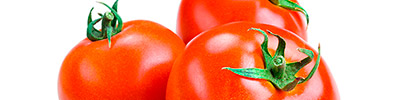 Importacion y distribucion de tomates frescos.