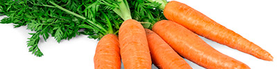 Importacion y distribucion de zanahorias frescas.