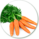 Importacion y distribucion de zanahorias frescas.