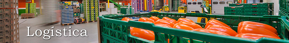 Logistica de importacion y distribucion de frutas y verduras.