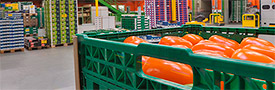 Logistica de importacion y distribucion de frutas y verduras.